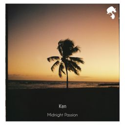 Midnight Passion cover