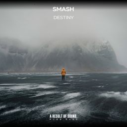 Destiny cover