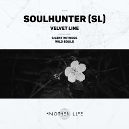 Velvet Line cover