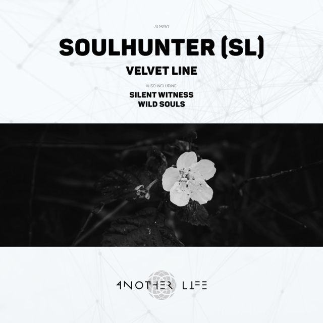 Velvet Line cover