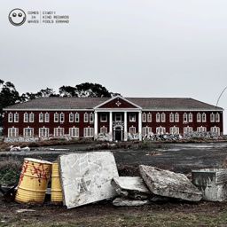 Fool's Errand cover