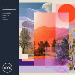 Developments 09 cover