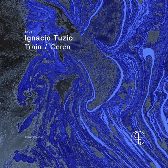 Train / Cerca cover