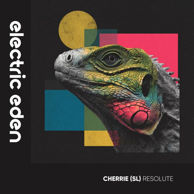 Resolute cover
