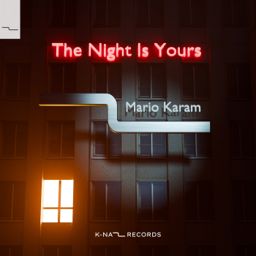 The Night Is Yours cover