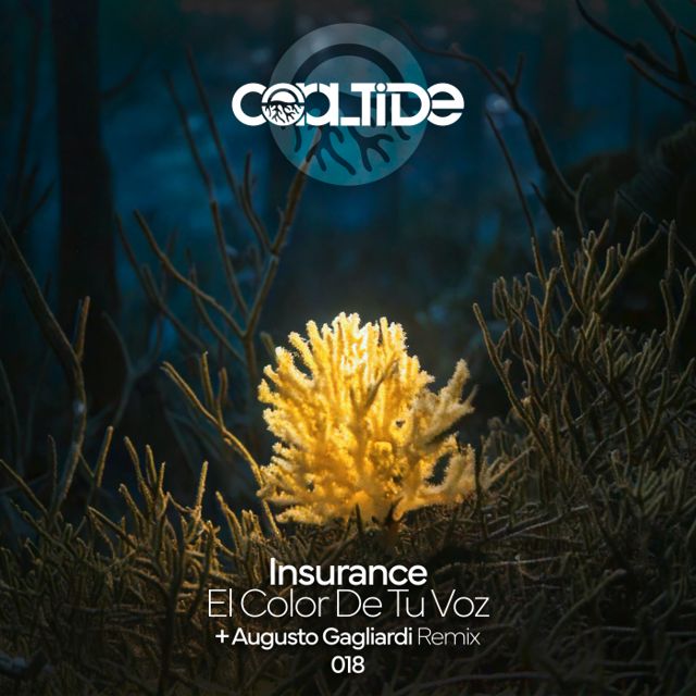 El Color De Tu Voz cover