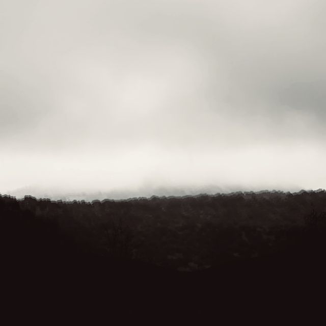 Winter cover