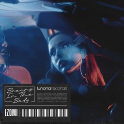 Brains in the Body cover
