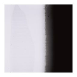 Morfema cover