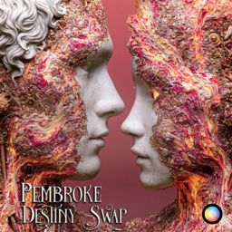 Destiny Swap cover