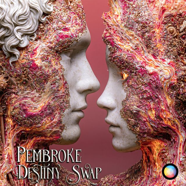 Destiny Swap cover