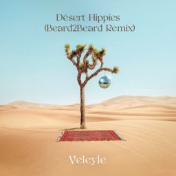 Desert Hippies (Beard2Beard Remix) cover