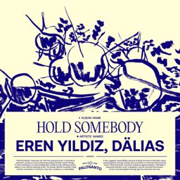Hold Somebody cover