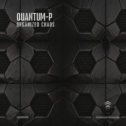 Organized Chaos cover