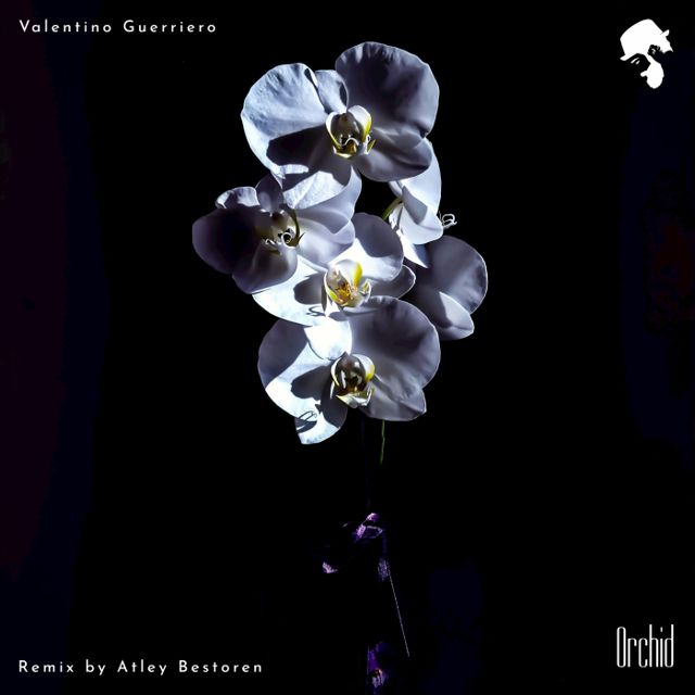 Orchid cover