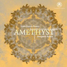 Amethyst: Remixes cover