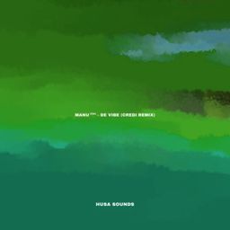 De Vibe (CREDI Remix) cover