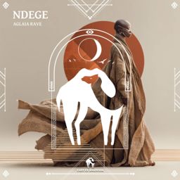 Ndege cover