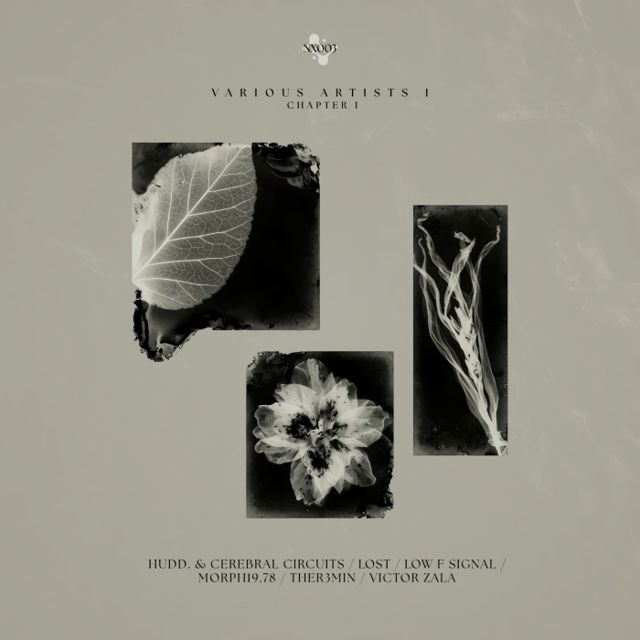 Nexa Various Artists 1.1 cover