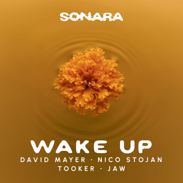 Wake Up cover