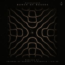 Bunch of Basses cover