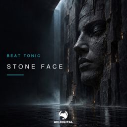 Stone Face cover