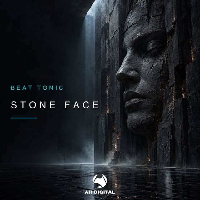 Stone Face cover