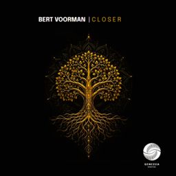 Closer cover