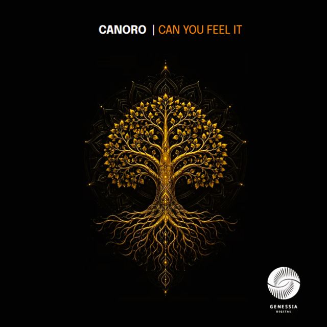 Can You Feel It cover