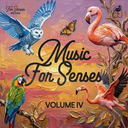 Music for Senses 2026 cover