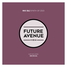 Synth of Zoo cover