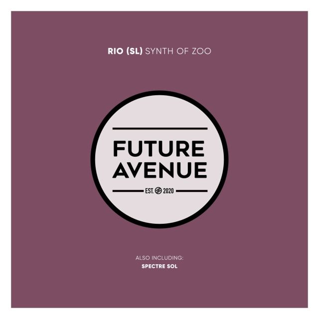 Synth of Zoo cover