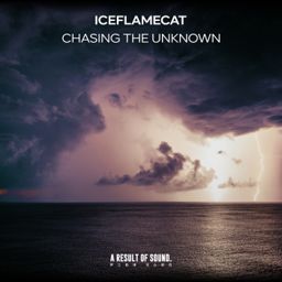 Chasing the Unknown cover
