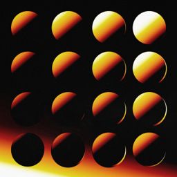 Transenses VIII cover