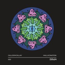 Hallucination cover