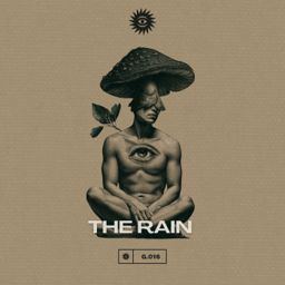The Rain cover