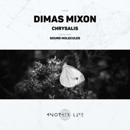 Chrysalis cover