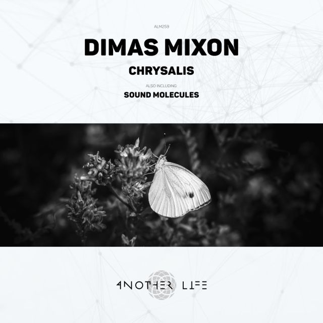 Chrysalis cover