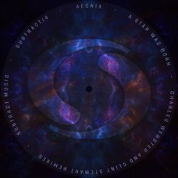 A Star Was Born Remixes cover
