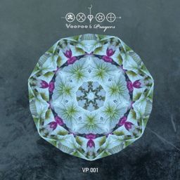 Hidden Depths cover