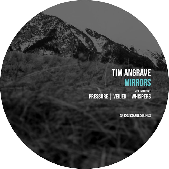 Mirrors cover